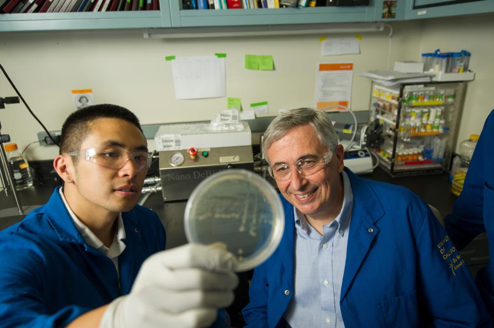faculty and student in lab looking at petri dish